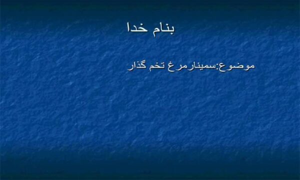 مرغ-تخم-گذار