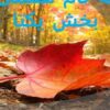 نقش-تغذیه-در-رشد-و-سلامت-انسان
