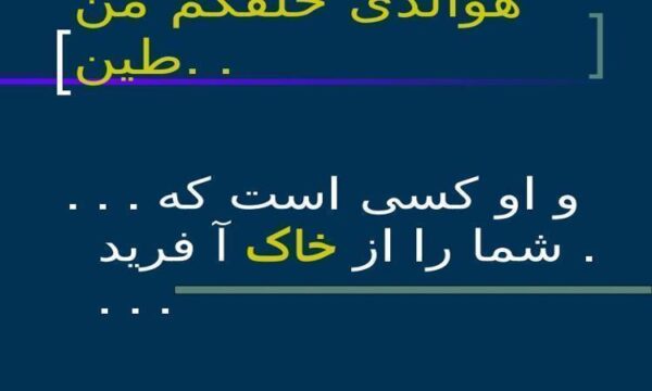 نادر-خلیلی-مبتکر-خانه-های-سرامیکی