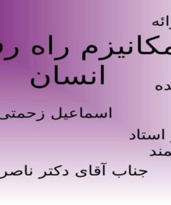 مكانيزم-راه-رفتن-انسان
