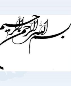 کارآموزی-زراعت-و-اصلاح-نباتات-دانه-هاي-روغني-سويا-و-ذرت
