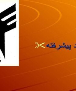 معرفی-سازه-ای-ورفتاری-پل-های-معلق-وپلهای-ترکه-ای