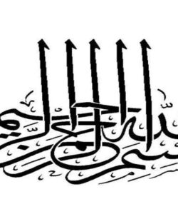 محصول-سالم-چیست