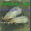 مگس-سفيد-گلخانه