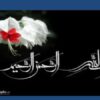 كدگذاري-سقطها-در-ICD