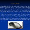 کالبد-شکافی-موس