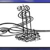 نماز-قطعه-ای-از-پازل-زندگی-موحد