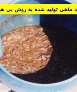 کود-ماهی-تولید-شده-به-روش-بی-هوازی