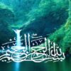 نحوه-محاسبه-پوشش-ایمن-سازی