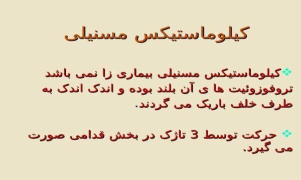 کیلوماستیکس-مسنیلی