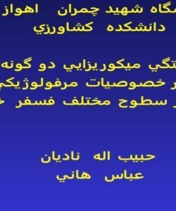 كشاورزي-مقايسه-ميزان-وابستگي-ميكورريزايي-دو-گونه-مختلف
