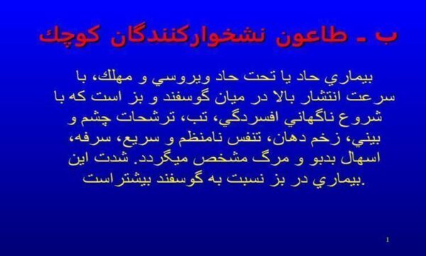 طاعون-نشخواركنندگان-كوچك