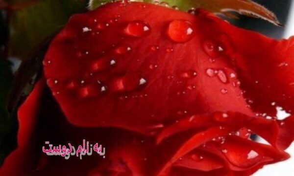 نحوه-نگهداري-مواد-غذايي
