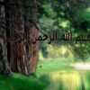 ميوه-هاي-گرمسيري-ونيمه-گرمسيري