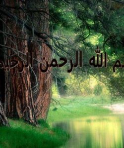 ميوه-هاي-گرمسيري-ونيمه-گرمسيري
