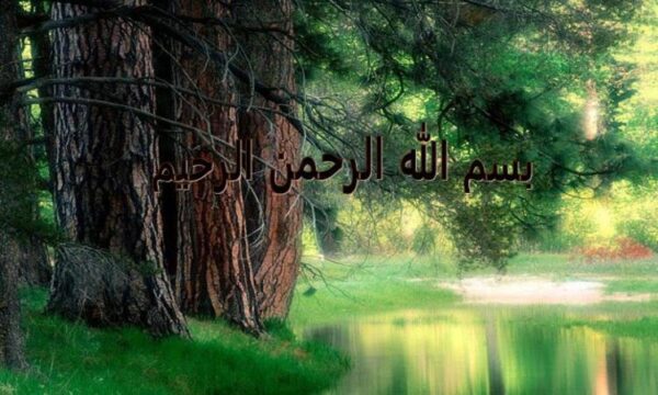 ميوه-هاي-گرمسيري-ونيمه-گرمسيري