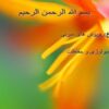 موضوعروپوش-های-سربی