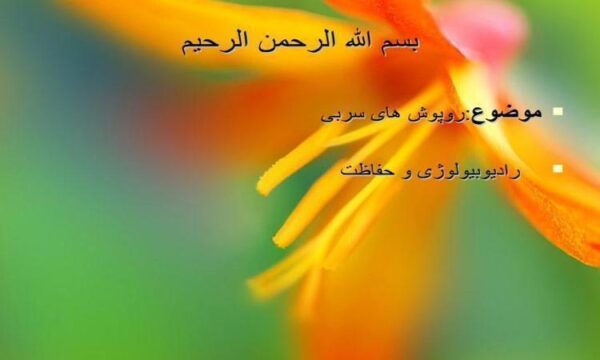 موضوعروپوش-های-سربی