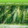 متريک-های-فنی-نرم-افزار