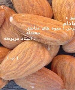 میوه-های-مناطق-معتدله