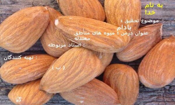 میوه-های-مناطق-معتدله