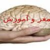 مغز-و-آموزش