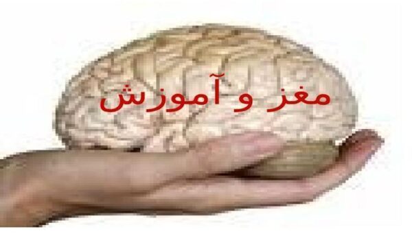مغز-و-آموزش