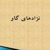 نژادهای-گاو