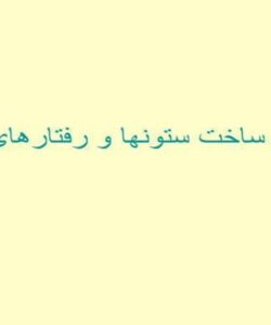 مراحل-ساخت-ستونها-و-رفتارهای-سوله