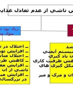 تعادل-غذایی