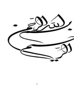 شرکت-بازرگانی-ستاره-سهیل