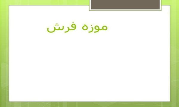 موزه-فرش