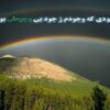 نحوه-برخورد-با-انواع-مسمومیت-ها