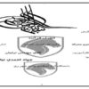 کارآموزی-مکانیک-کنترل-کیفیت