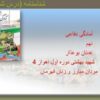 پاورپوینت-درس-۶-آمادگی-دفاعی-نهم