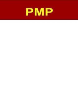 آشنایی-با-درس-PMP