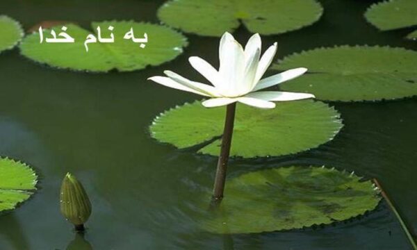 آناتومي-و-فيزيولوژي-قلب