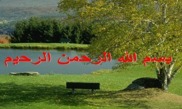 اشکالات-فنی-و-ساختاری-در-نشریات-علوم-پزشکی-کشور