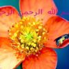 اختلالات-شناختی-یا-عقب-ماندگی