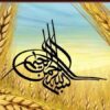 اخلاق-باليني-در-نظام-جامع-سلامت