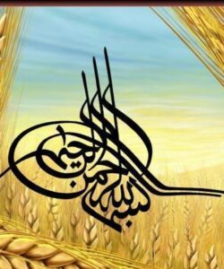 اخلاق-باليني-در-نظام-جامع-سلامت