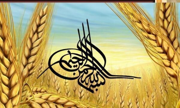 اخلاق-باليني-در-نظام-جامع-سلامت