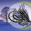 ارائه-بازخورد-از-بازدید-های-بعمل-آمده-از-واحد-های-در-آمد-و-ترخیص-مراکز-خصوصی-تابعه