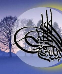 ارائه-بازخورد-از-بازدید-های-بعمل-آمده-از-واحد-های-در-آمد-و-ترخیص-مراکز-خصوصی-تابعه