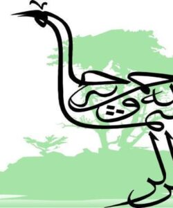ارزشیابی-سيستم-هاي-اطلاعاتي