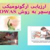 ارزیابی-ارگونومیکی-پوسچر-به-روش-OWAS