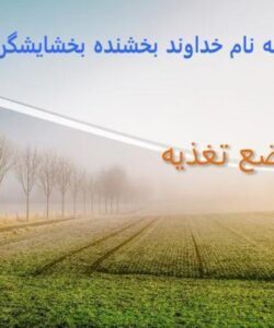 ارزیابی-وضع-تغذیه