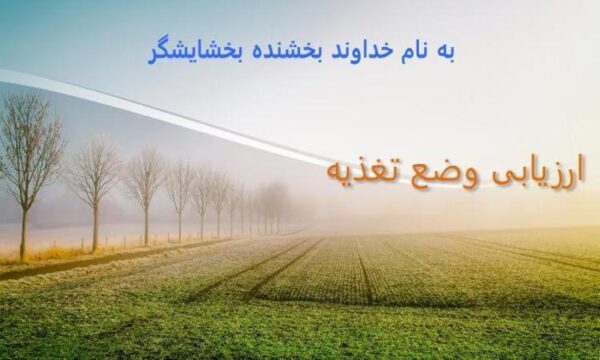ارزیابی-وضع-تغذیه
