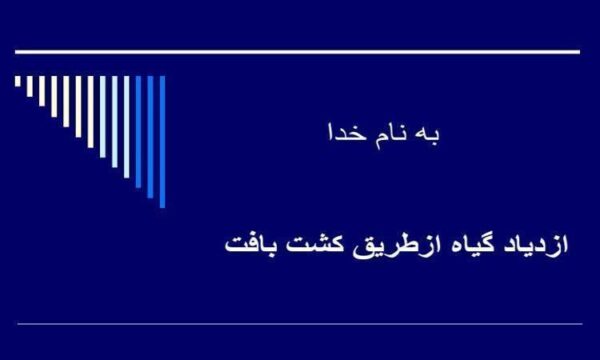 ازدیاد-گیاه-ازطریق-کشت-بافت