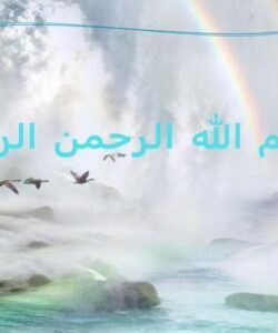 استئو-ارتریت